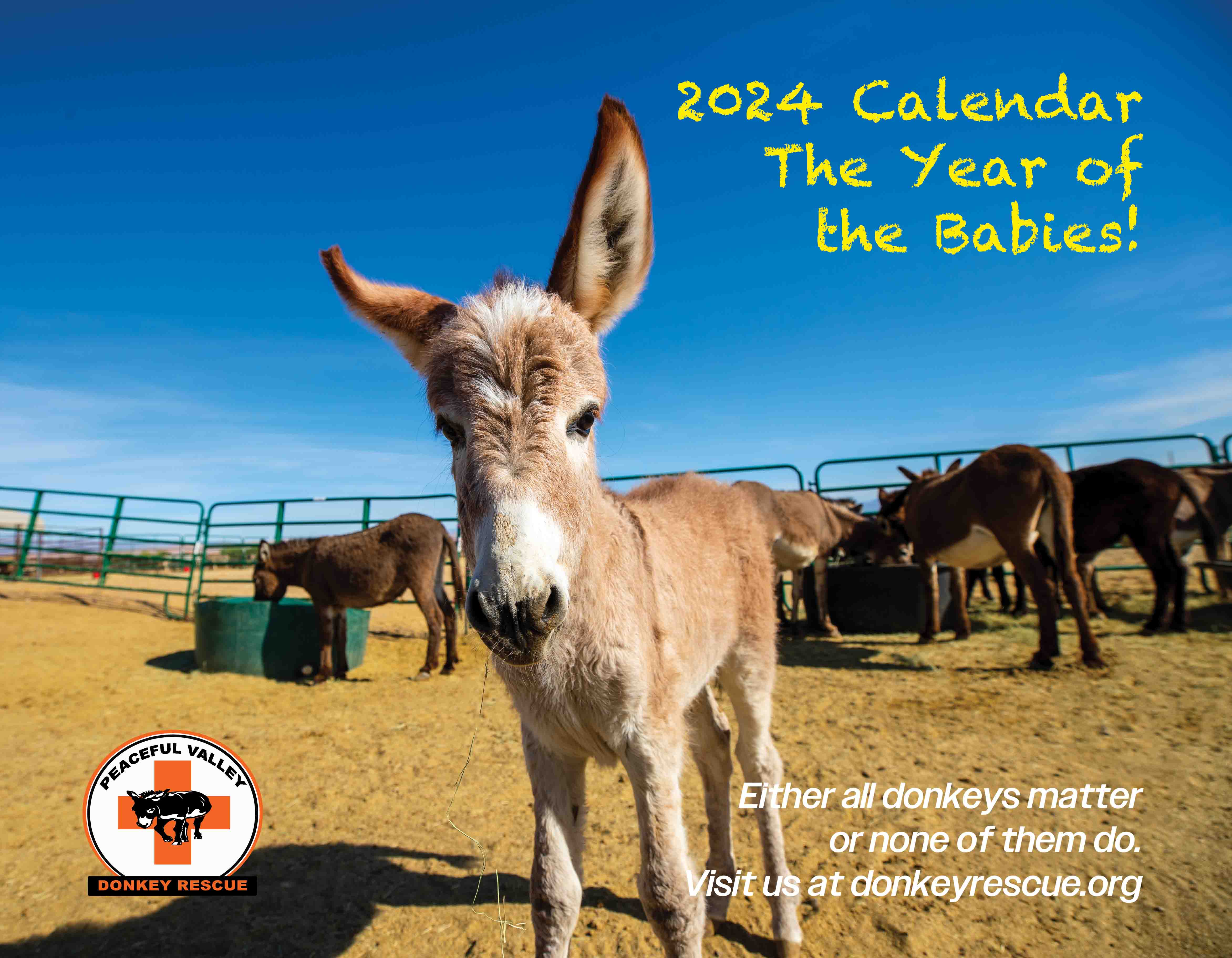 2024 Peaceful Valley Calendar Peaceful Valley Donkey Rescue