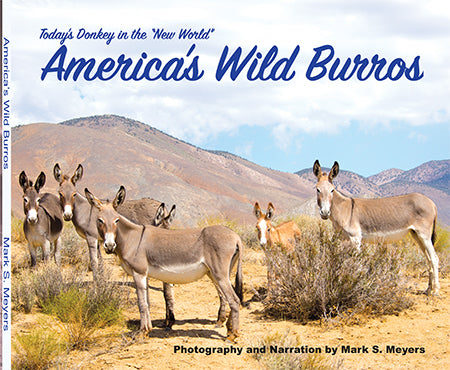 America's Wild Burros