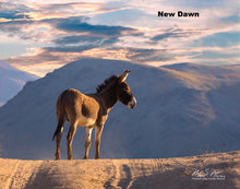 Load image into Gallery viewer, Photographs by Mark S. Meyers