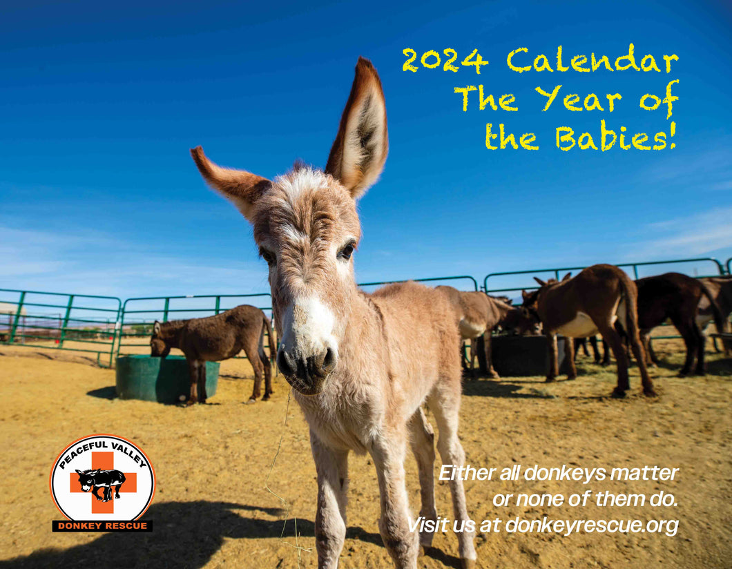 2024 Peaceful Valley Calendar