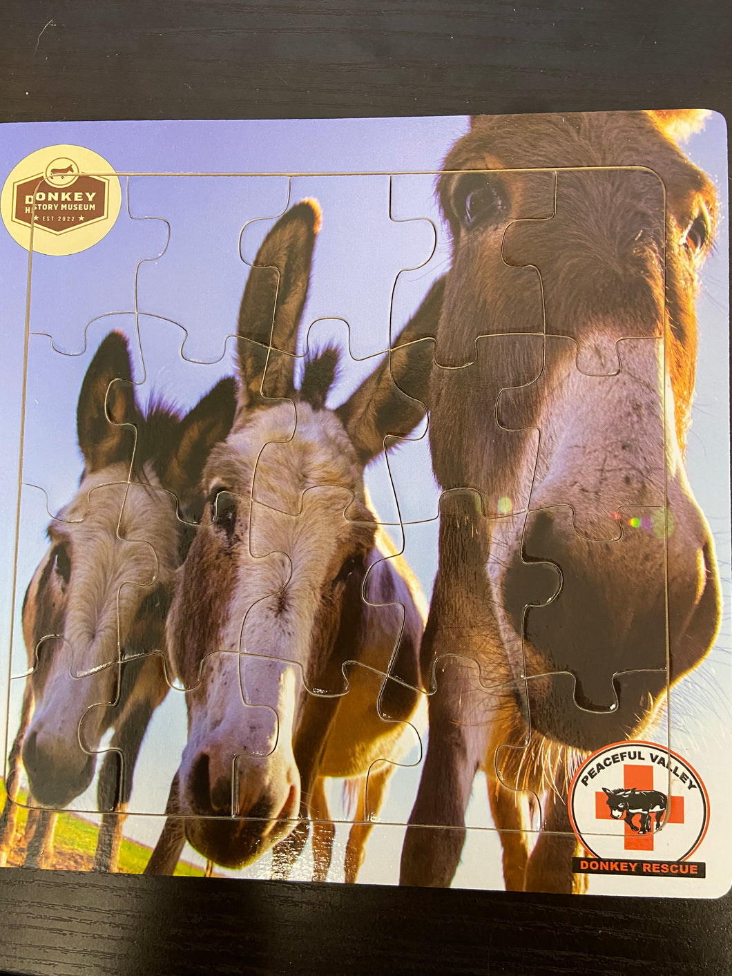 Jigsaw Puzzle