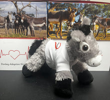 Load image into Gallery viewer, Donkey Adoption Kit
