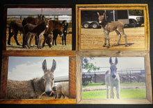 Load image into Gallery viewer, Note Cards
