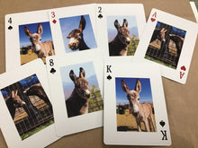 Load image into Gallery viewer, PVDR Playing Cards 2024
