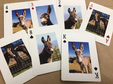 Load image into Gallery viewer, PVDR Playing Cards 2024
