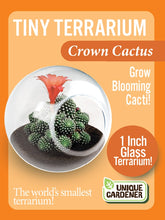 Load image into Gallery viewer, Tiny Terrarium Cactus
