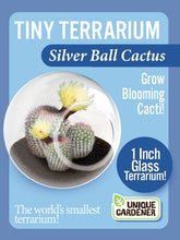 Load image into Gallery viewer, Tiny Terrarium Cactus
