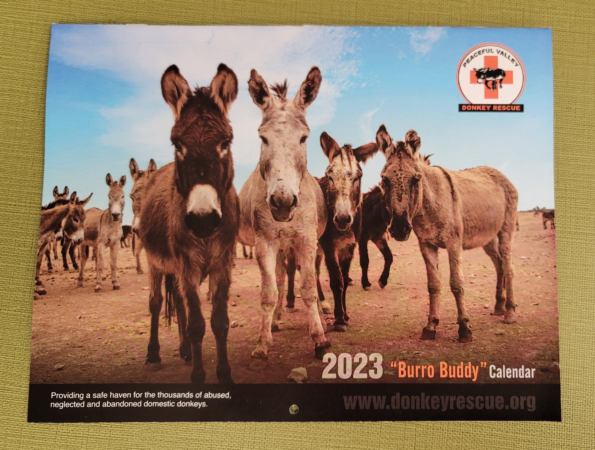 2023 PVDR Wall Calendar Peaceful Valley Donkey Rescue