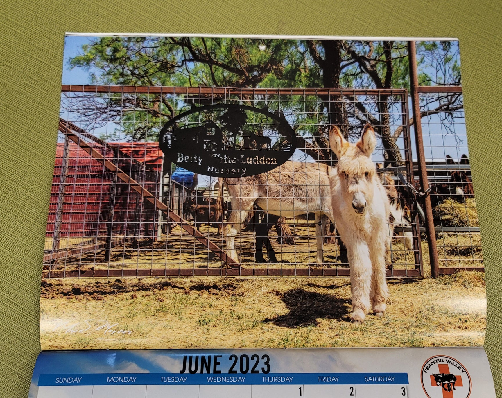 2023 PVDR Wall Calendar Peaceful Valley Donkey Rescue