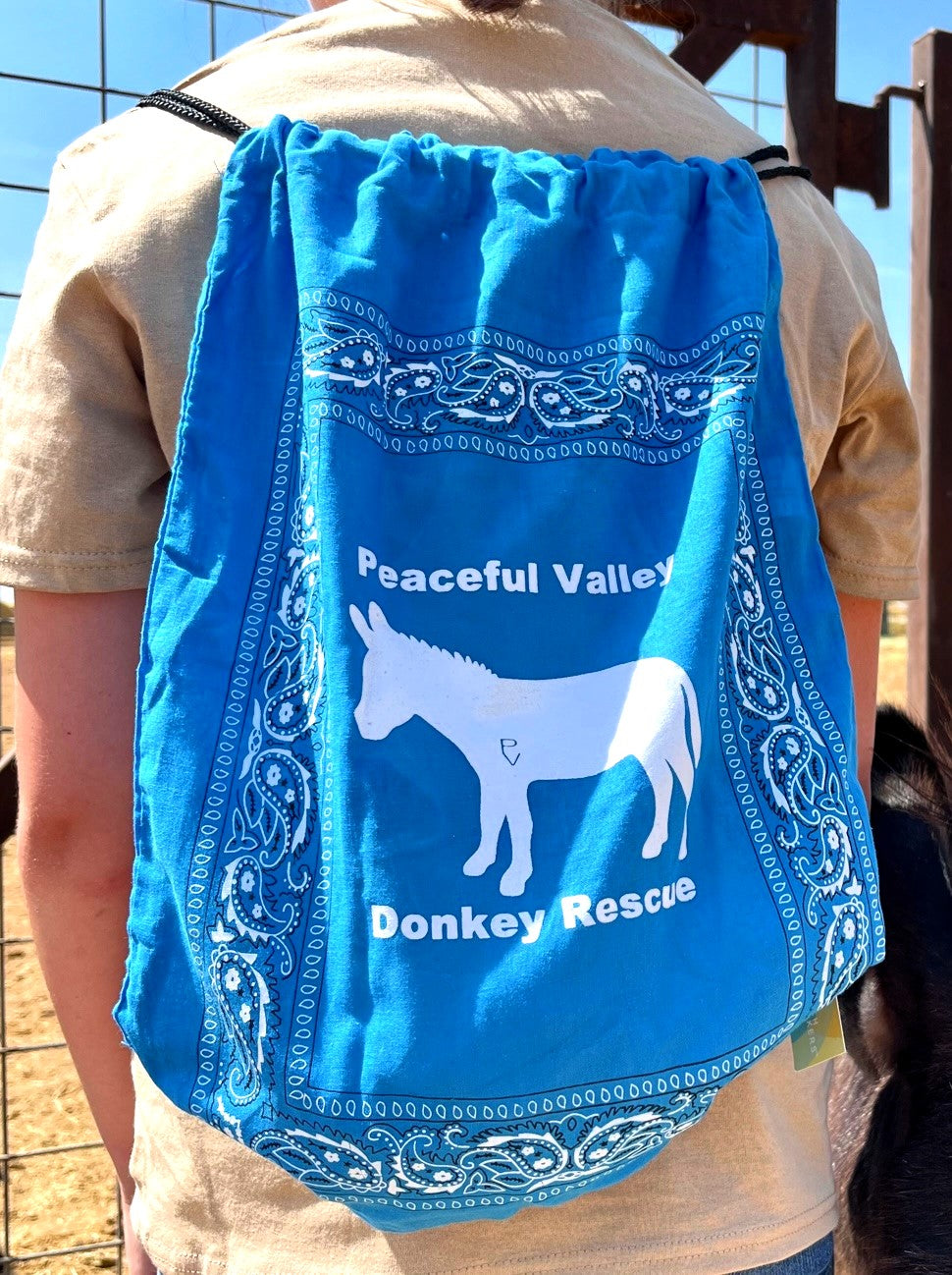 Back Packs