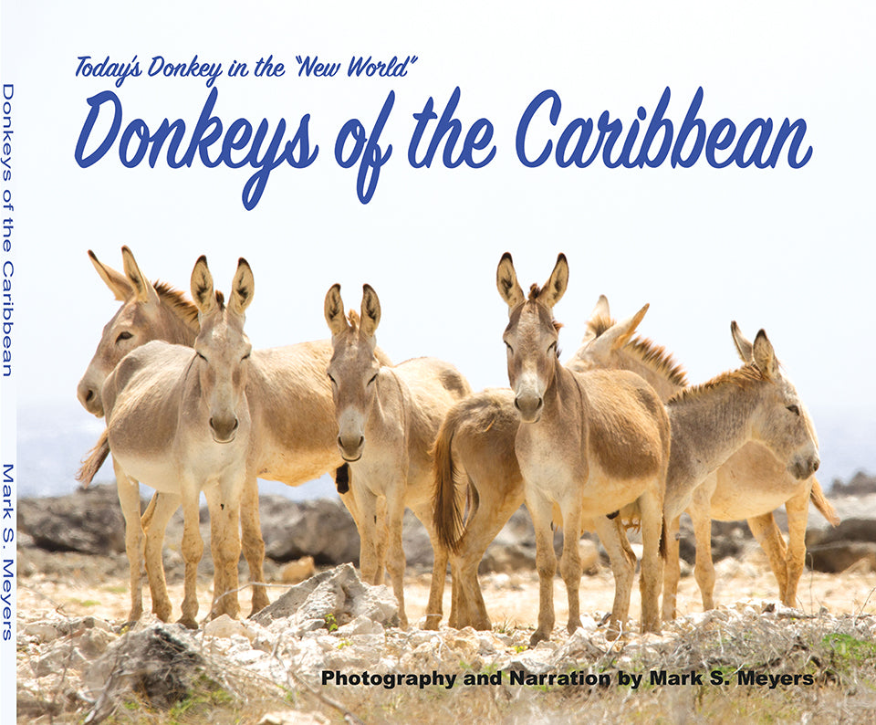 Donkeys of the Caribbean