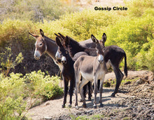 Load image into Gallery viewer, Donkey Photographs by Mark S. Meyers

